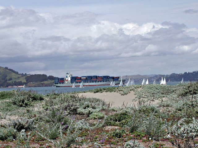 P4260021